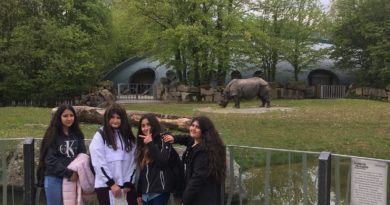 Tierpark Hellabrunn-immer wieder ein Erlebnis für die Schüler_innen der ersten  Klassen