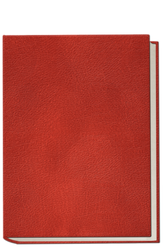 Evolution Von der Entstehung Des Lebens Bis Heute by Darwin, Sara