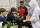 Besuch in der Gärtnerei Gwiggner